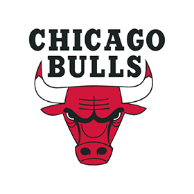 The Chicago Bulls | Digital Advertising Strategy
